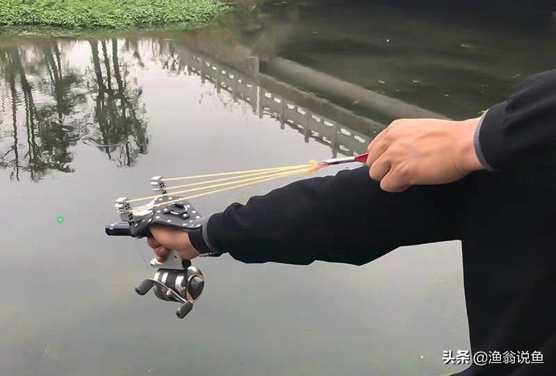 高效毒辣的“射鱼*党**”，诱人的鱼获下，却隐藏危机