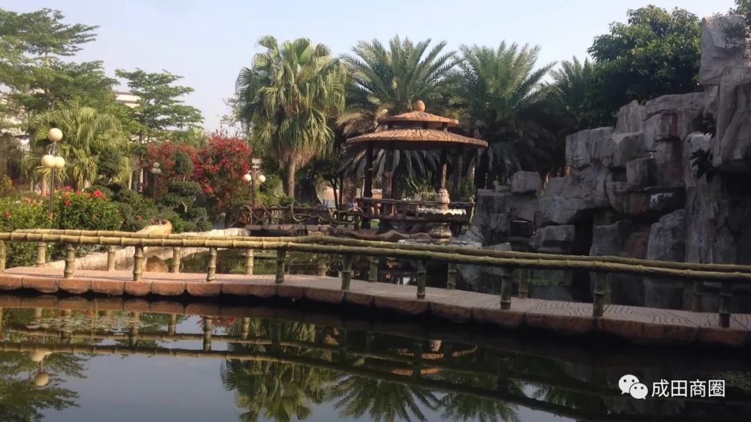 成田文体公园国庆,成田镇文体公园