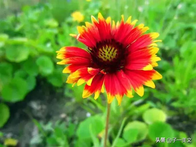 触动心弦的唯美早安心语配图,励志早安心语正能量简短触动心弦