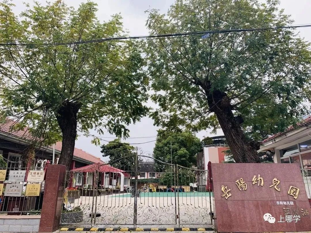 上海松江区掌上明珠实验幼儿园,松江区私立幼儿园排名一览表