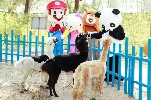 翡翠湾抚仙湖民宿,漳州翡翠湾民宿推荐