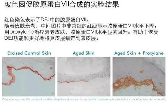 玻色因oem产品,玻色因面霜oem