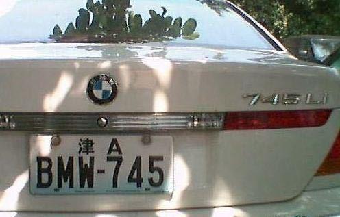 盘点全网最搞笑最奇葩的车牌,全网最搞笑的车牌