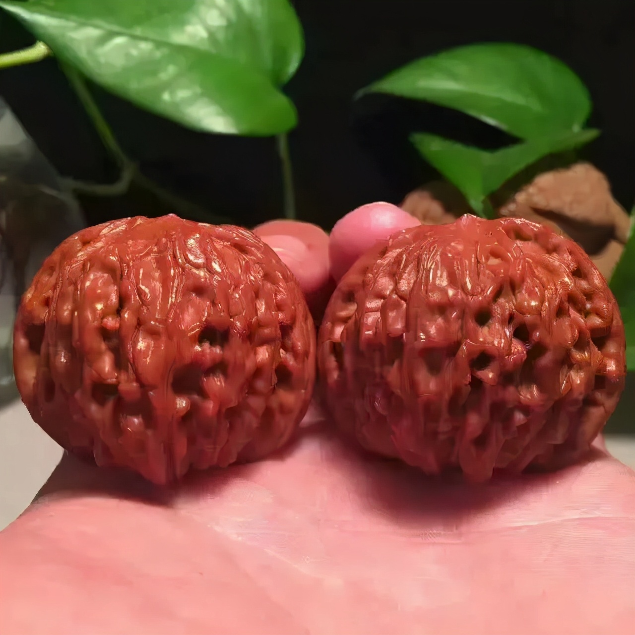 核桃如何盘得油光发亮,新手盘核桃如何让它快速上色