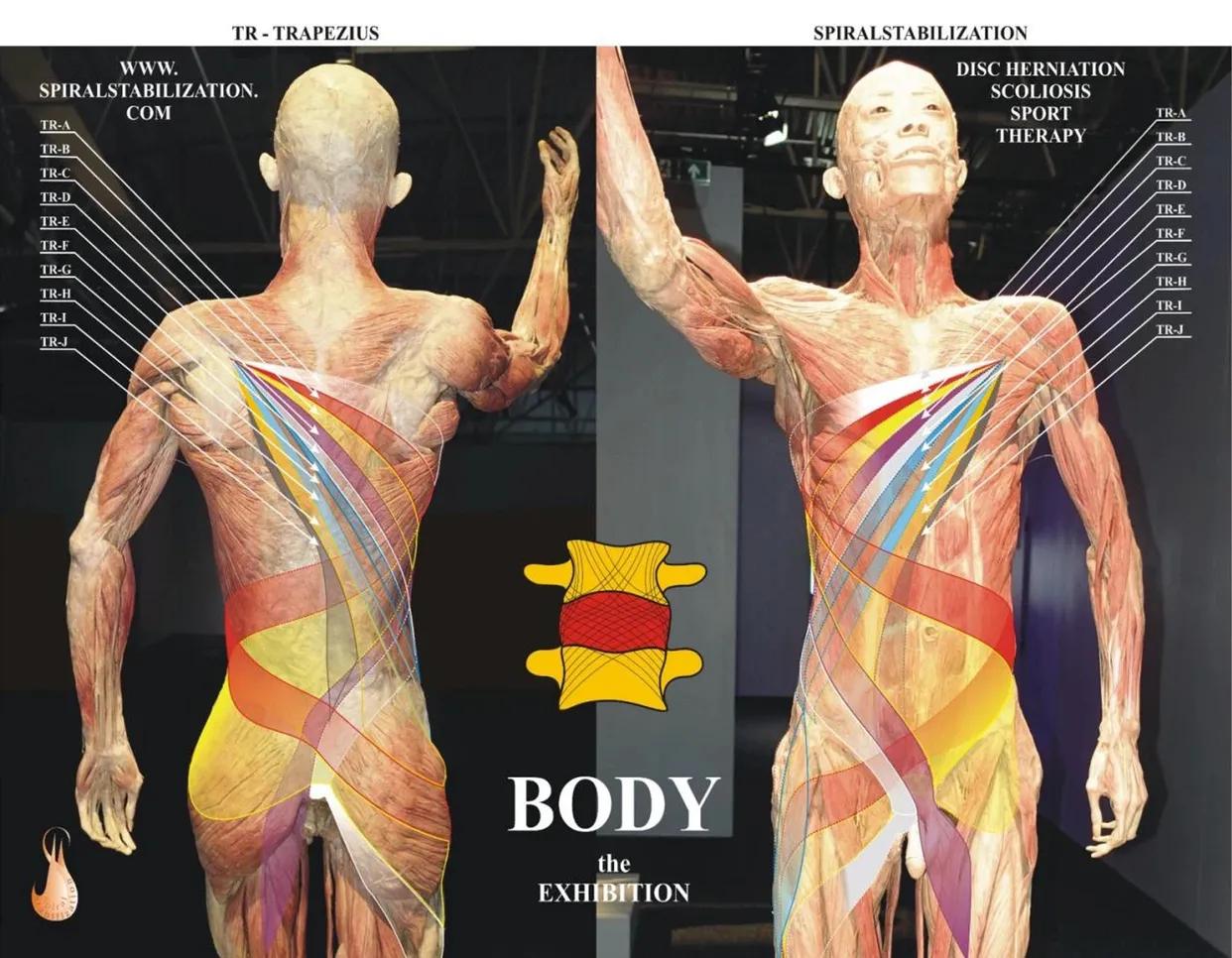 sps鍒涘浜虹悊鏌ュ痉,鐞嗘煡寰蜂翰鎺坰ps瀵煎笀