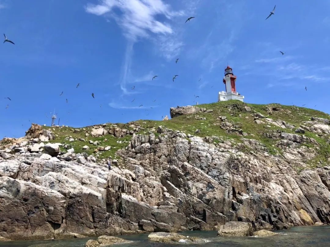 厦门不止鼓浪屿,厦门不止有海还有茉莉花