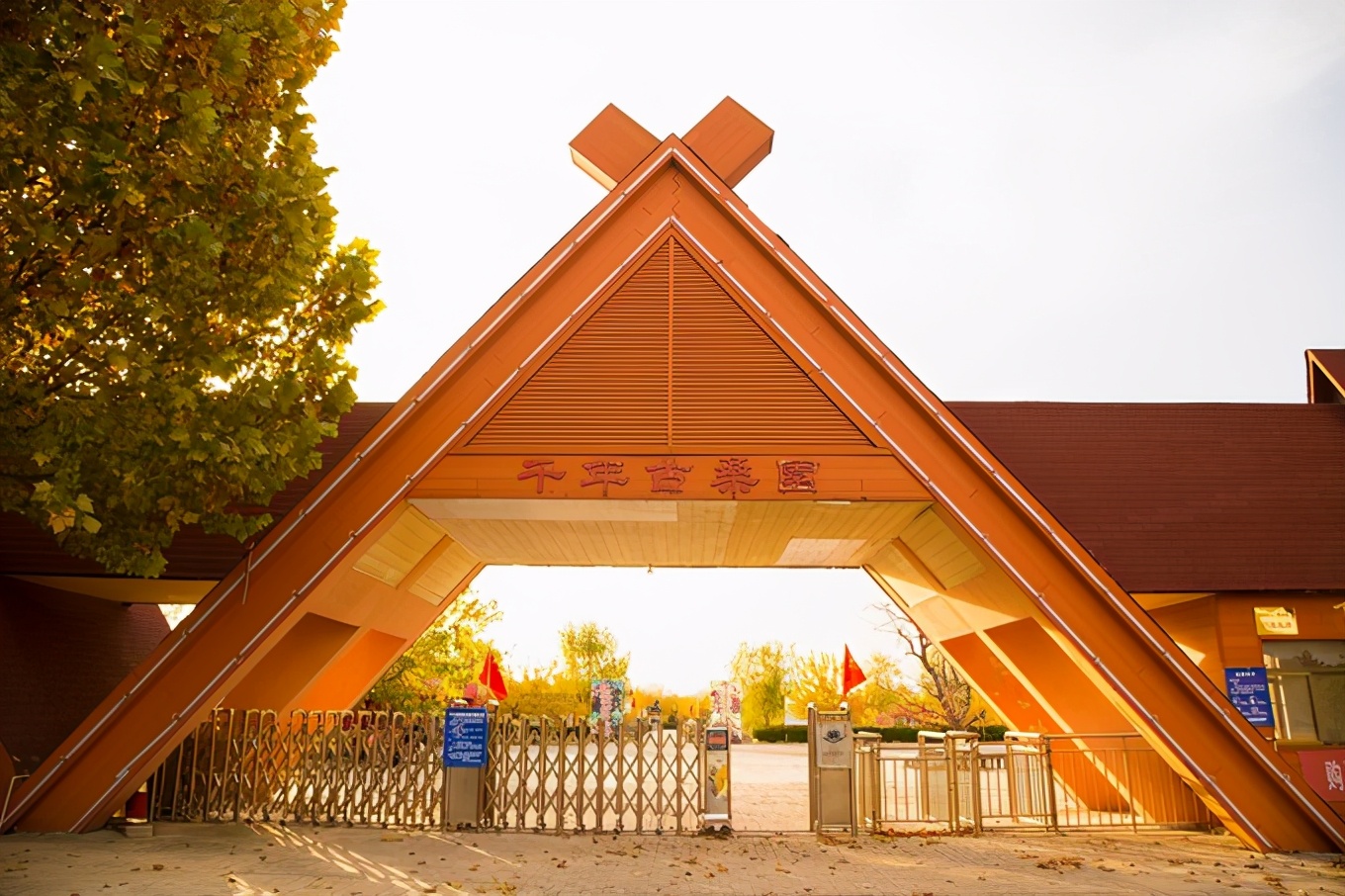 滨州有冬枣吗,产自哪里的冬枣最好吃