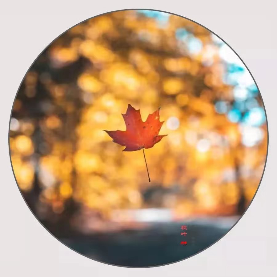 秋叶800m,秋叶800m最新视频