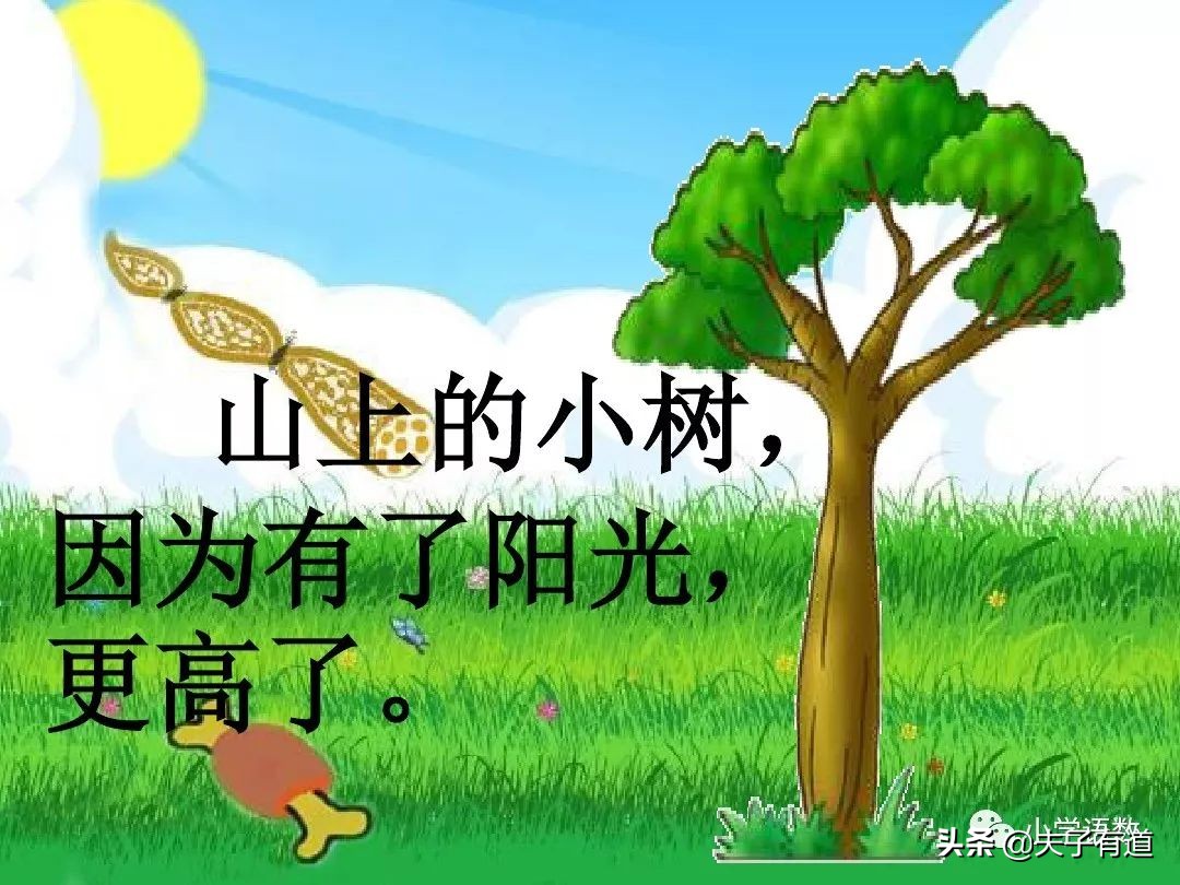 一年级语文下册语文园地二展示台,部编版一年级下册语文园地二练习