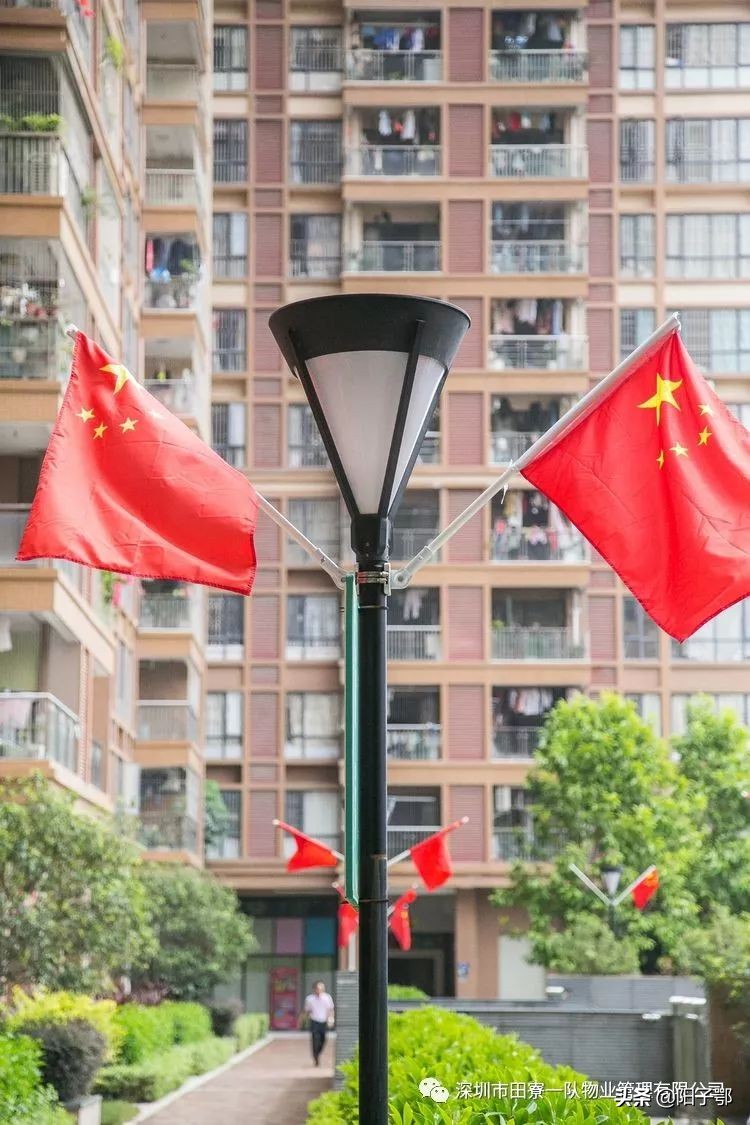 锦田湾我是护旗手,我是护旗手主题活动