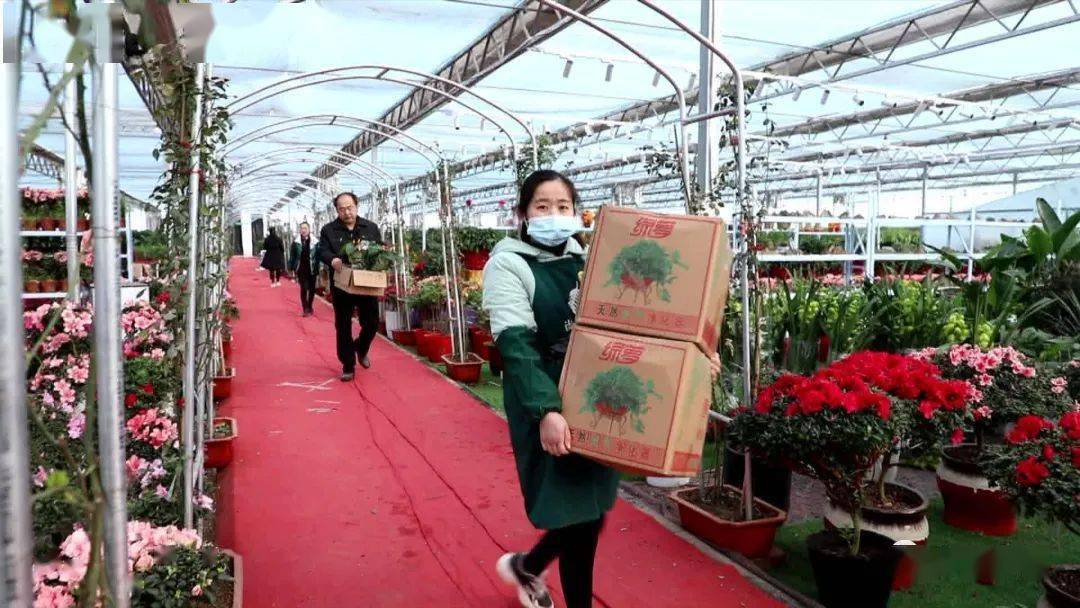 我,50岁,山东女人,老公生意失败欠款1000万,我种花帮他还债