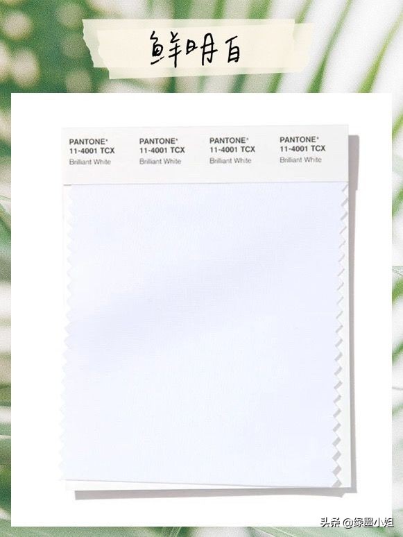 林允想当网红,林允韩火火穿搭