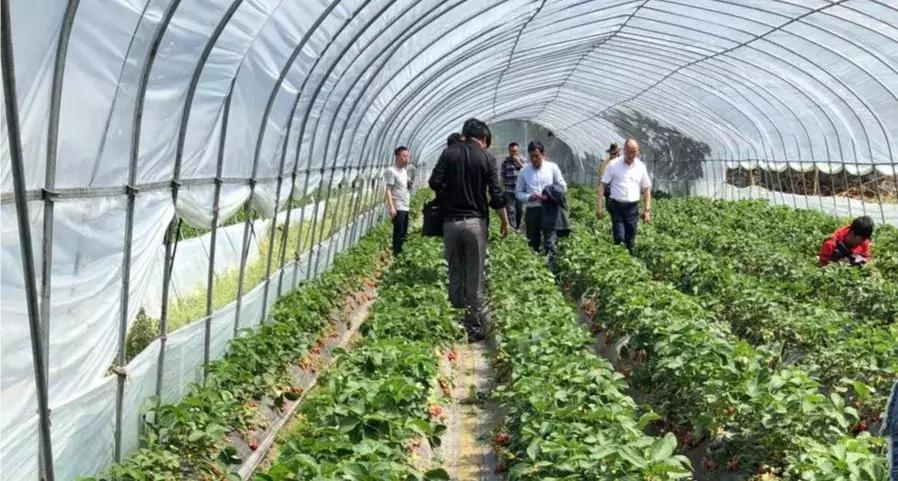 新龙县考察组赴泸定县学习考察脱贫攻坚及乡村振兴发展之略