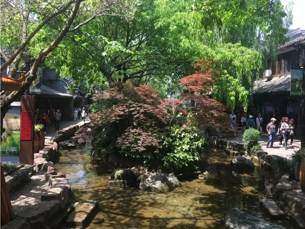 成都市区小众景点免费,成都冷门旅游景点推荐