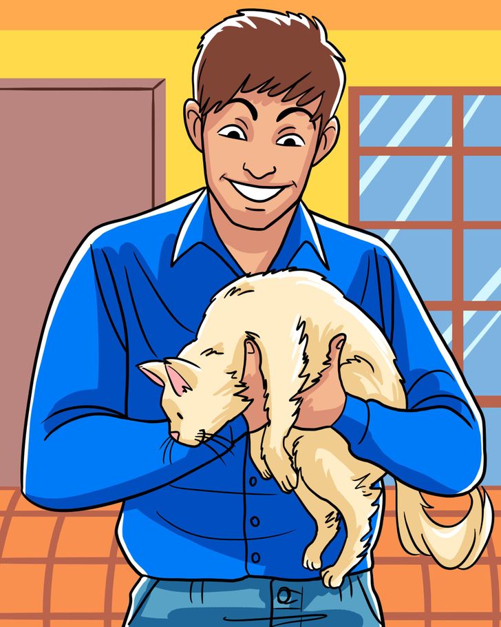 笑话关于猫咪,笑话关于猫咪的