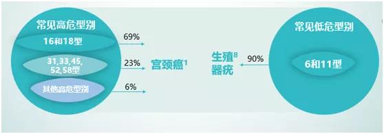 关于hpv疫苗你必须知道的十件事,关于hpv疫苗你想知道的都在这里