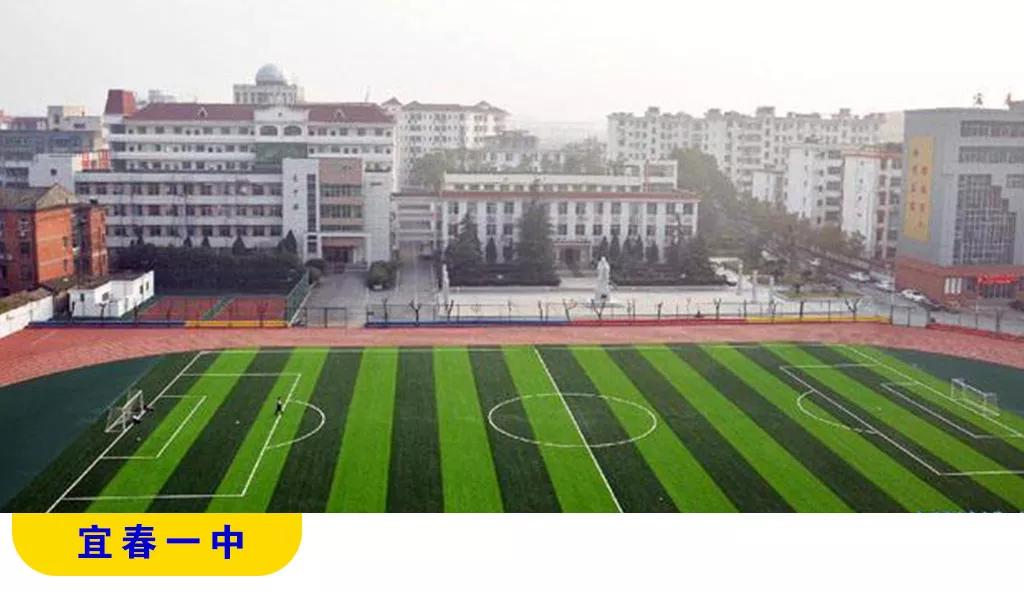 宜春天立学校美术特长生,2021江西宜春中考体育特长生标准