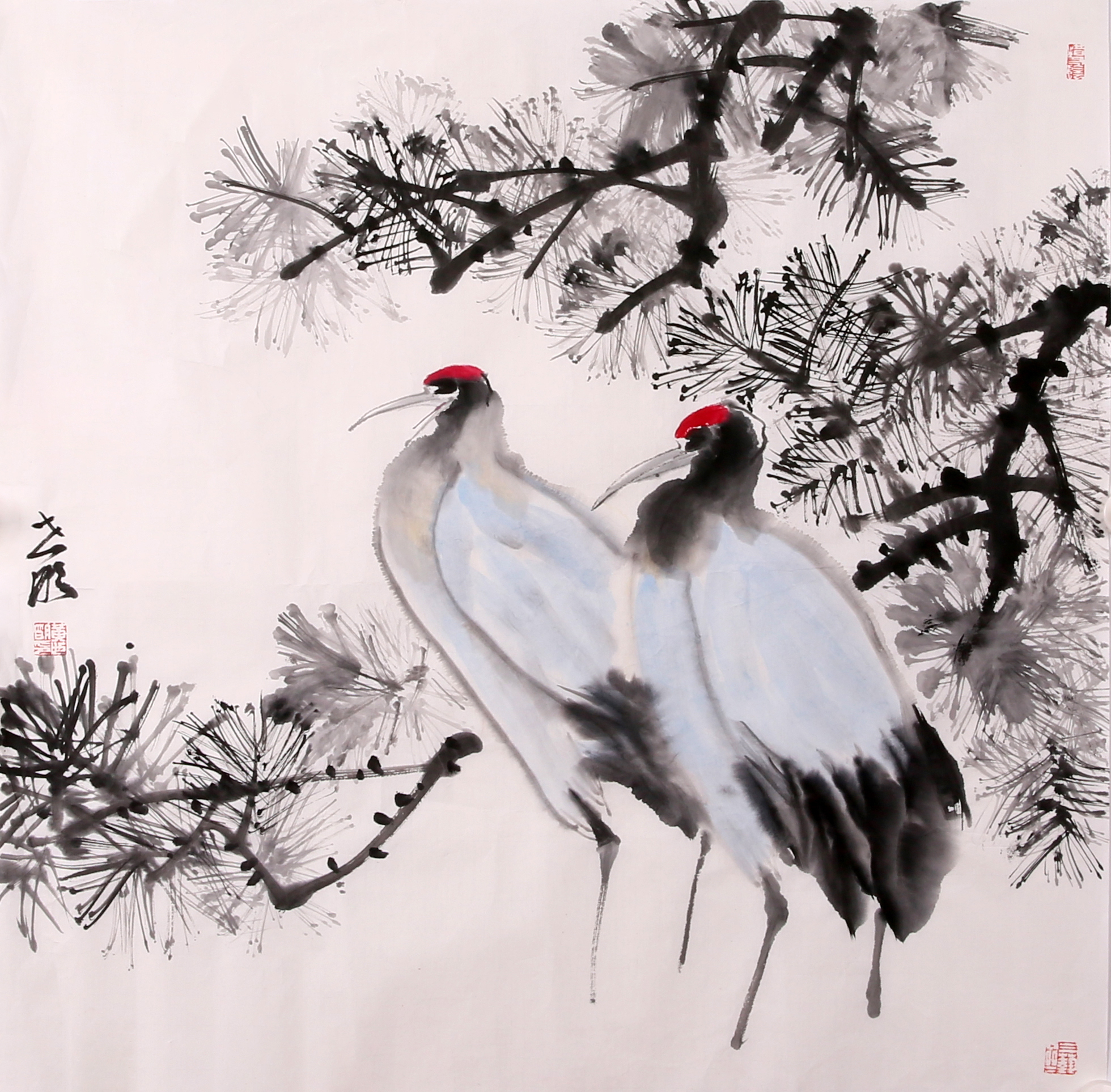 得一楼|第一百零一期花鸟山水精品