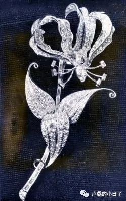 英国女王胸针高档轻奢,女王最贵胸针排行榜