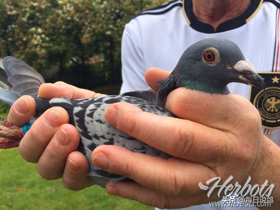 96年巴塞罗那比赛录像,2011年巴塞罗那五冠王