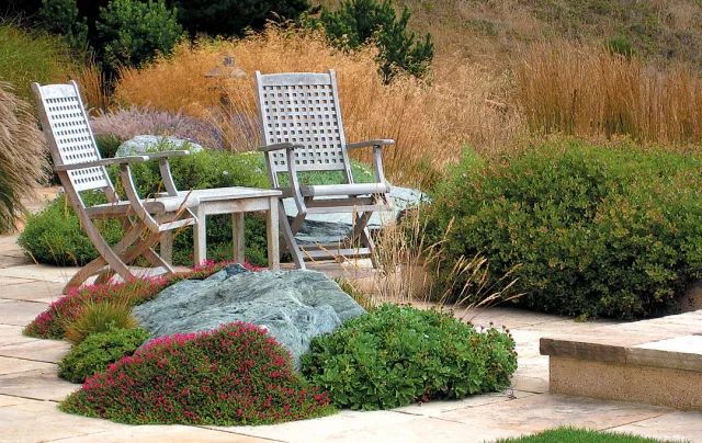 干货分享种植小技巧,混合花境设计与种植建议