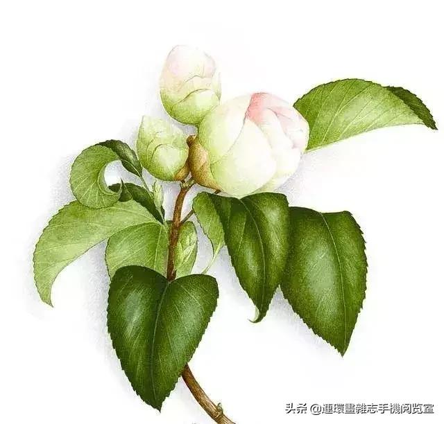 开会时领导说让你讲两句怎么说,开会时被领导要求讲两句咋办