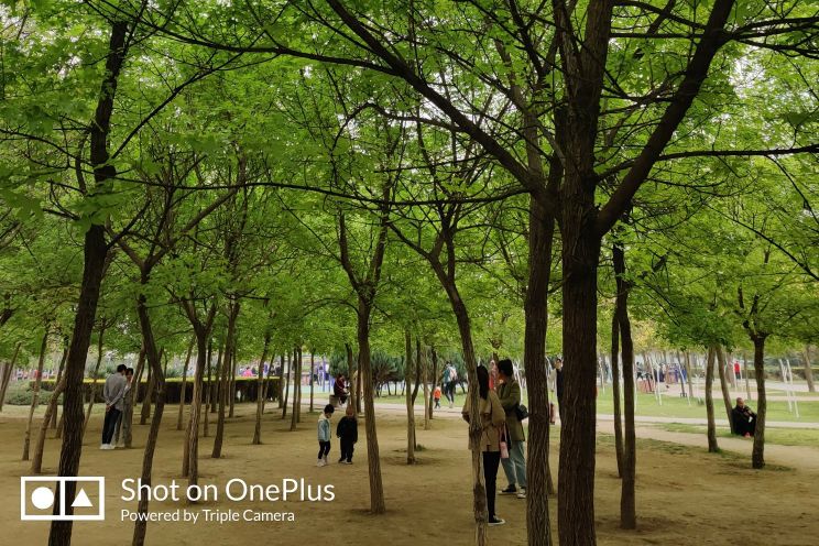 春天真美啊美得像什么,春天真美呀补充完整句子