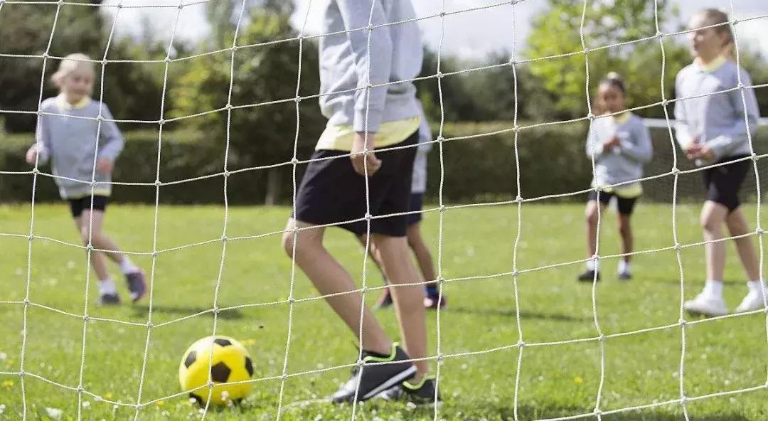 如何改革体育教育,当下体育教育现状