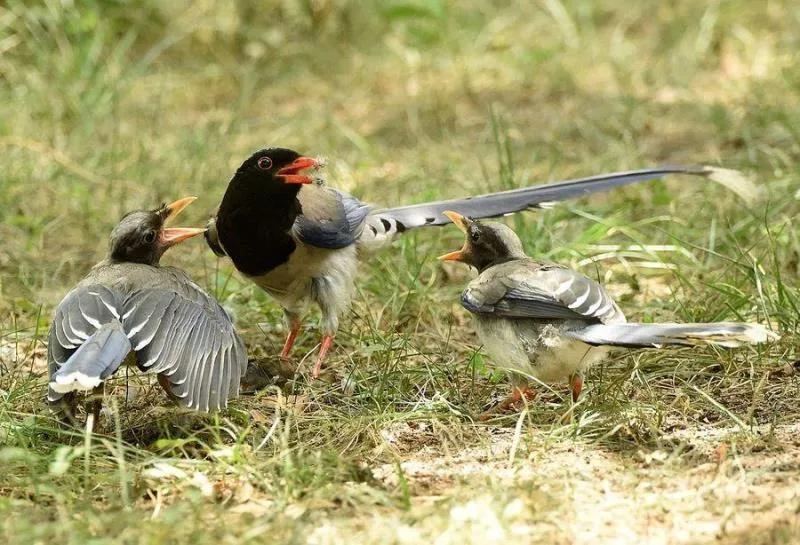 令人动容的图片,令人动容的电影大全