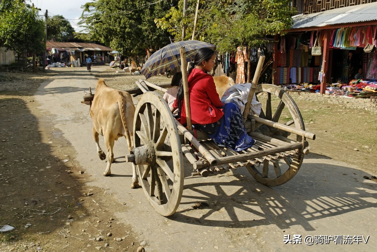 东北俗事之林海故事6,东北俗事之林海故事