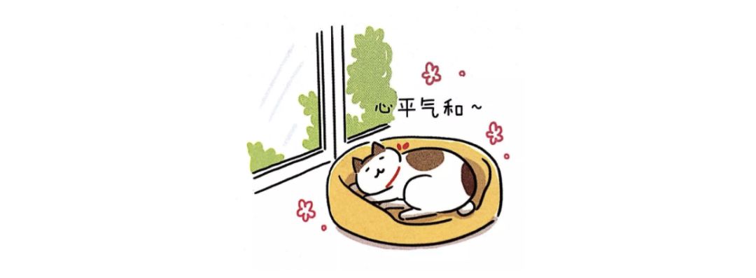 养猫指南免费阅读,养猫指南手册