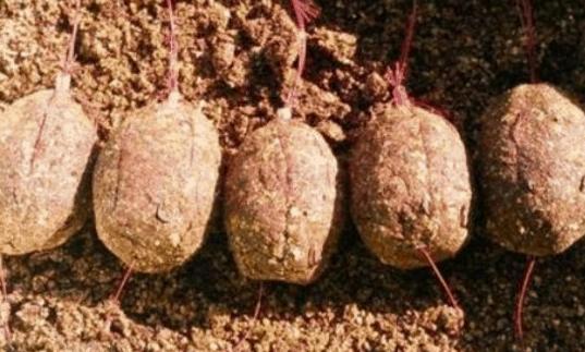 爆炸钩自制鱼饵料配方,怎么制作钓爆炸钩大型鱼类的饵料