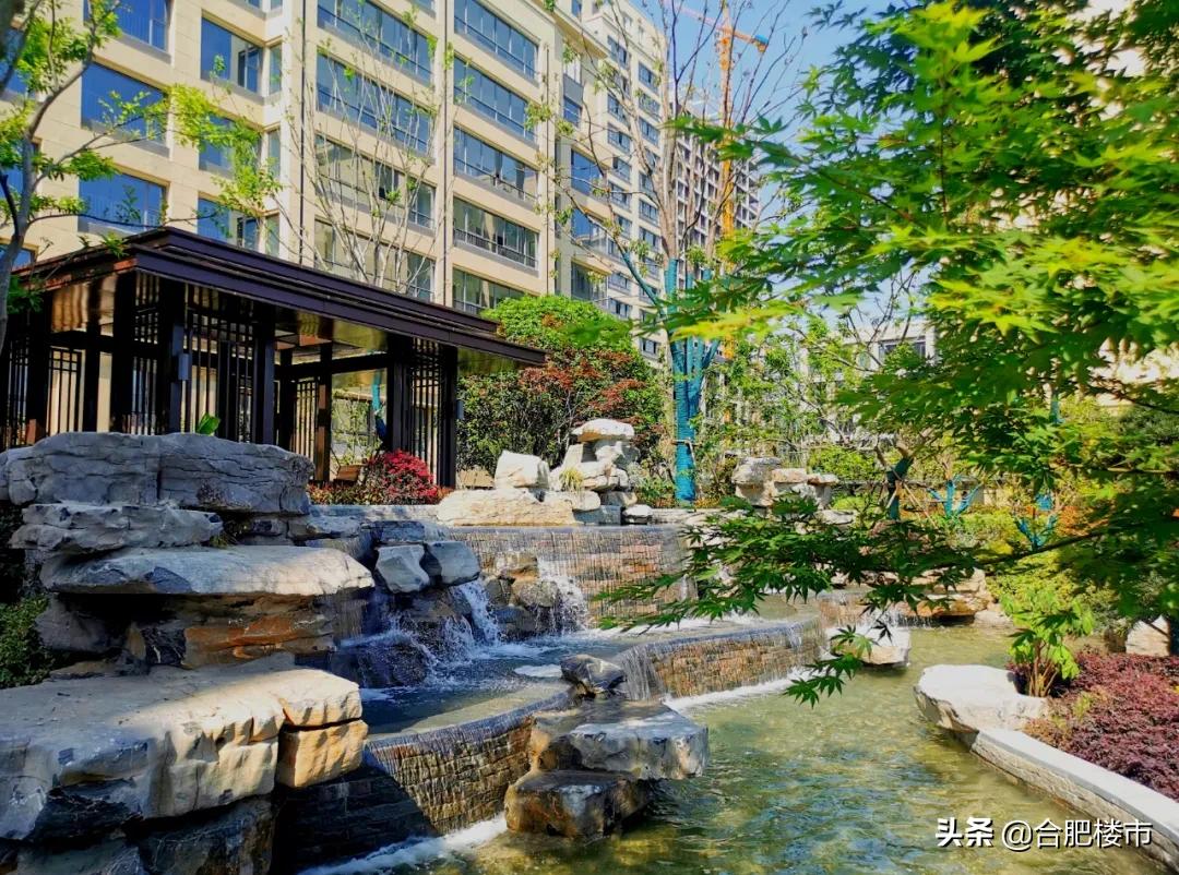 滨湖新区新盘,滨湖新区高档楼盘样板房