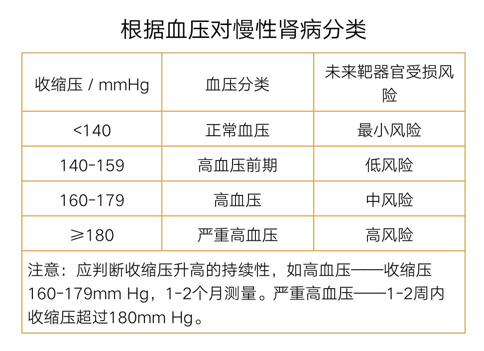 猫病视频,猫肾脏病视频大全