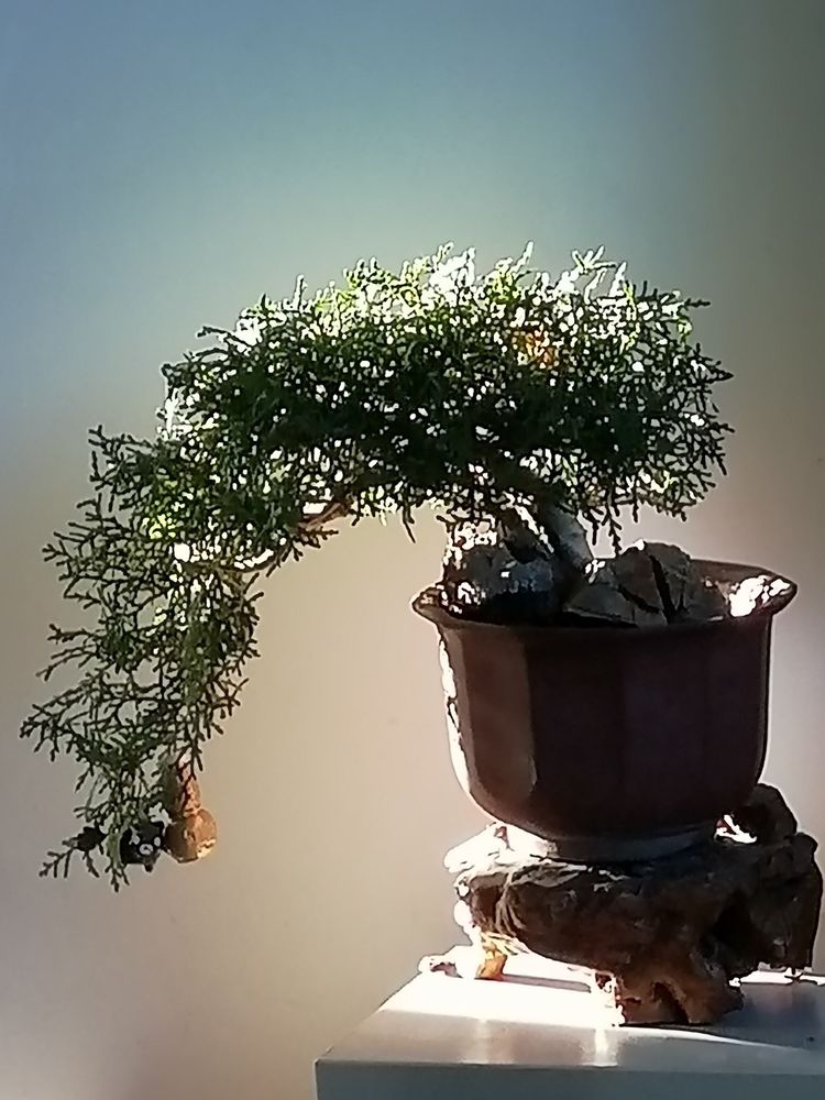 《我们永远是祖国的兵》(二)庆祝“八一”建军节93周年联欢晚会