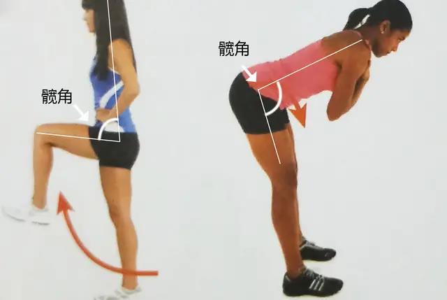 绳索臀推怎么练,变式绳索飞鸟训练方法