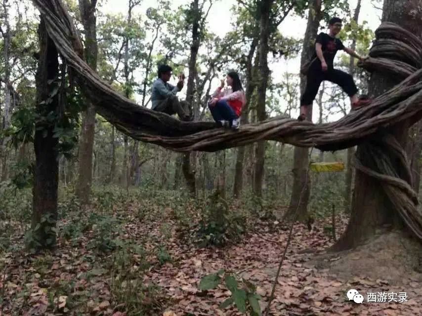 她向外国警察投诉我，自驾环球被迫离开尼泊尔，紧接着就地震