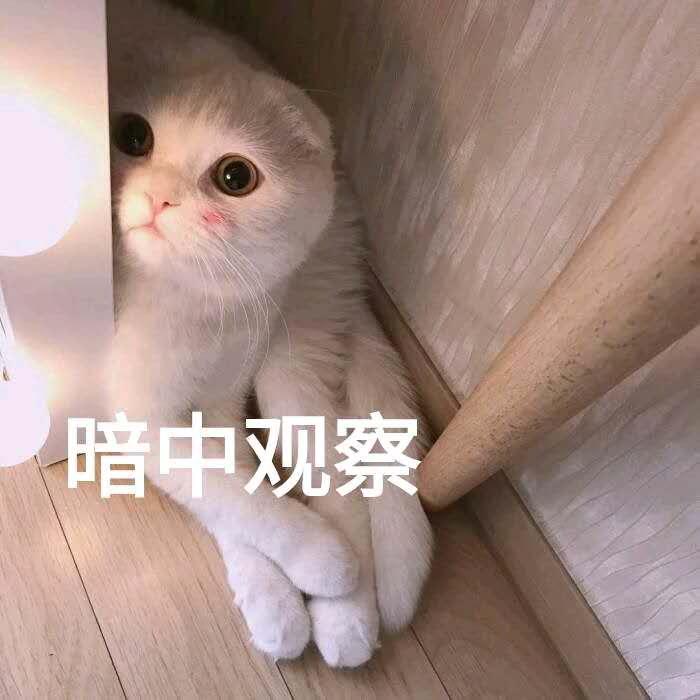 卖假货网红视频,网红卖假货为啥没事