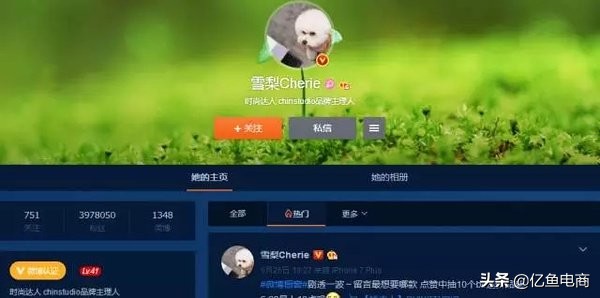 完美营销模式和营销策略,完美矛盾综合体案例