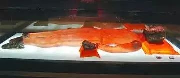 颤抖吧凡人全文,颤抖吧凡人的视频