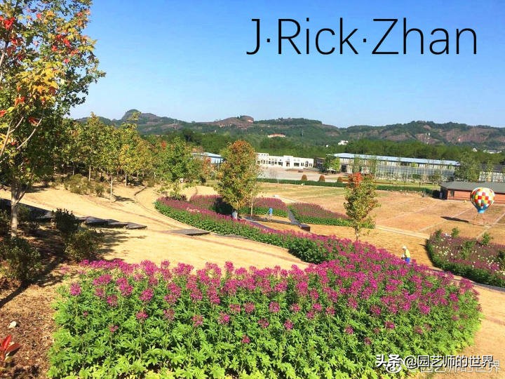 果岭草坪的种植养护方法及技巧,怎么种植一个可以躺的草坪