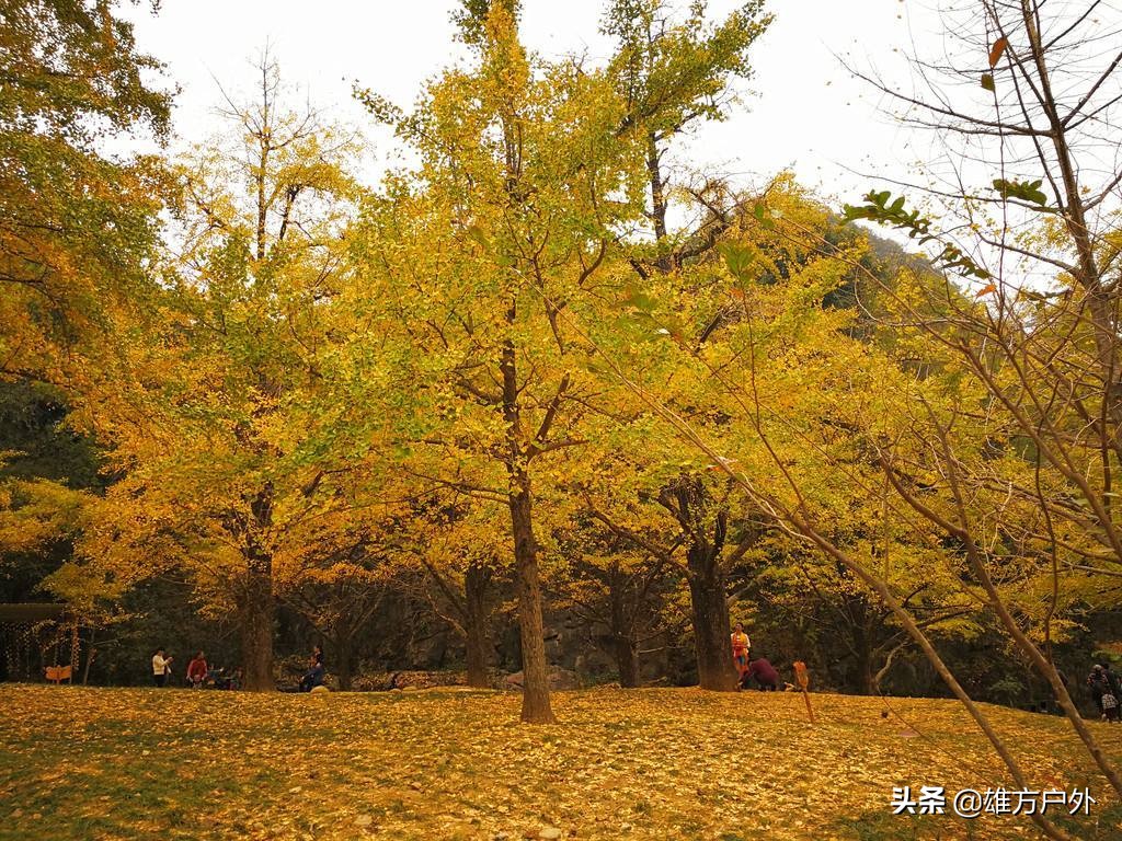 漓江兴坪古镇美景,兴坪古镇漓江游