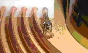 特斯拉线圈火眼,非常了得特斯拉线圈