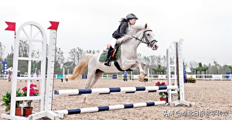 湖北第十届体育运动会,武汉市第十一届运动会最好的舞台