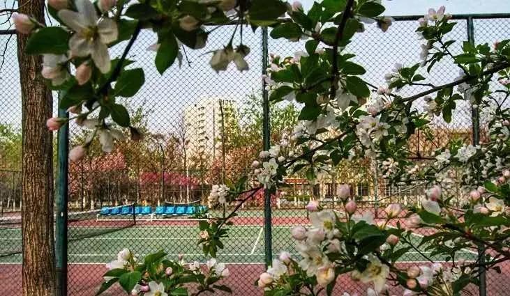 天津市普通高等院校,天津师范高等专科学校