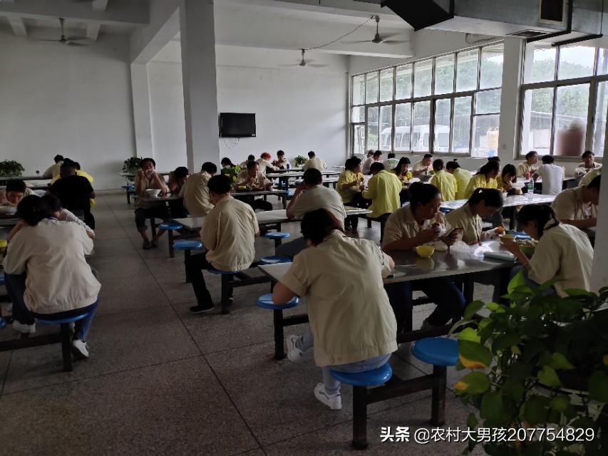 电子厂打工族的真实生活,泰州电子厂打工的真实生活