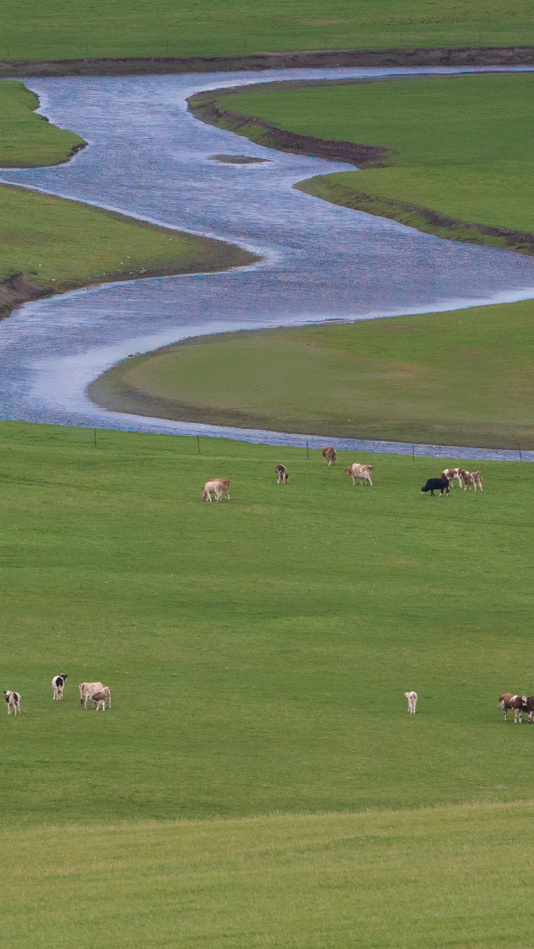 便是人间好时节壁纸,良辰美景好时光手机壁纸