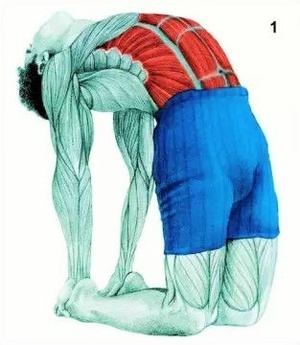 气血自流拉筋的好处,骨正筋柔气血自通