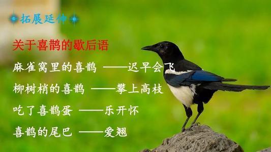 二年级语文枫树上的喜鹊课后生字,二下语文枫树上的喜鹊生字讲解