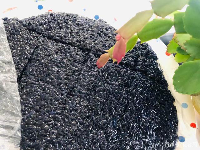 你好李焕英最后贾玲为什么哭了,你好李焕英贾玲为啥哭着往回跑